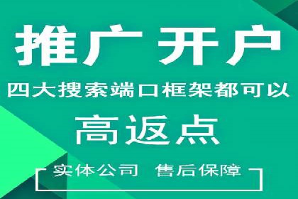 跨行业SEM广告投放的多样化案例分析